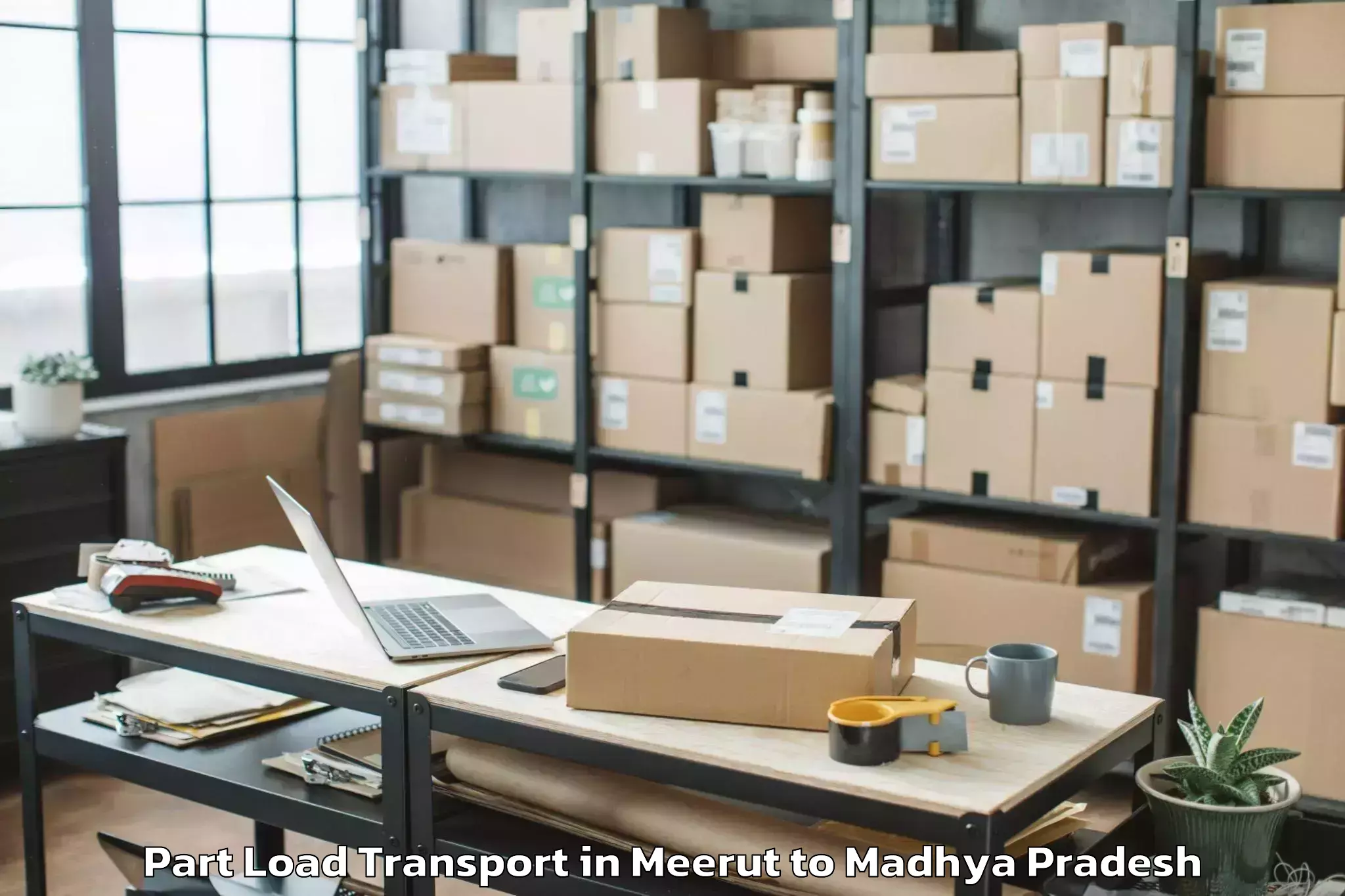 Expert Meerut to Guna Part Load Transport